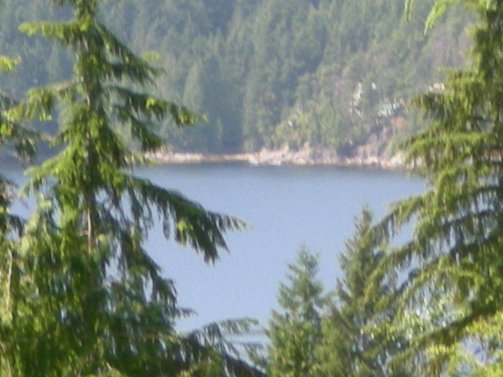 Davis Brook Retreat Bed & Breakfast Sechelt Exterior photo